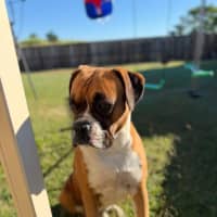 Photo of Ruben