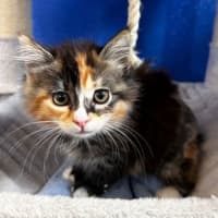Photo of Minnie
