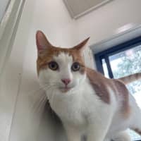 Photo of Sir Ed The Round