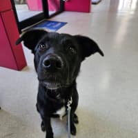 Photo of Tucker