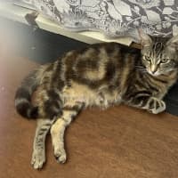 Photo of Molly
