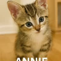 Photo of Annie