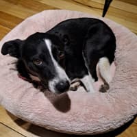 Photo of Winnie