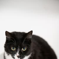 Photo of Molly