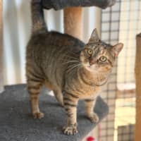 Photo of Zelda