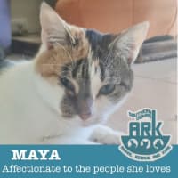 Photo of Maya & Mia