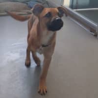 Photo of Belle