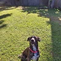 Photo of Coco