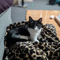 Photo of Lexi
