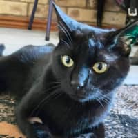 Photo of Vader