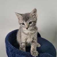 Photo of Asher
