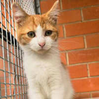 Photo of Butters