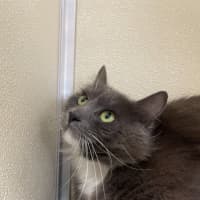 Photo of ✈ Reuben 5603 ✈