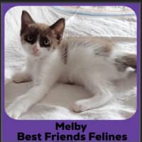 Photo of Melby