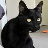 Photo of Clarence