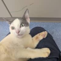 Photo of Banana Boat