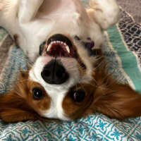 Photo of Bonnie