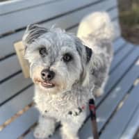 Photo of Sunny