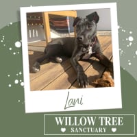 Photo of Lani