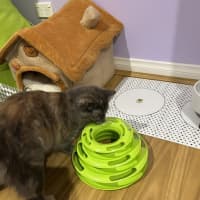 Photo of Riley