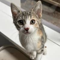 Photo of Rainer 🎄❤️