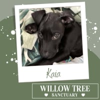 Photo of Kaia