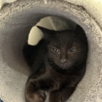 Photo of Luna