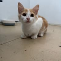 Photo of Ravioli