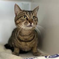 Photo of Sweetie