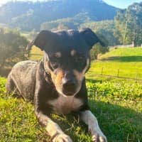 Photo of Tess