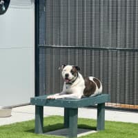 Photo of Jessie
