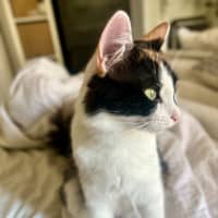 Photo of Yuki