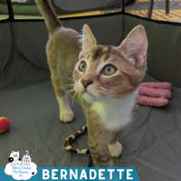 Photo of Bernadette