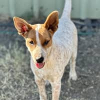 Photo of Cash