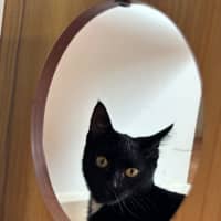 Photo of 🖤 Poppy 🖤