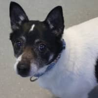 Photo of Tommy