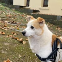 Photo of Bonzer 