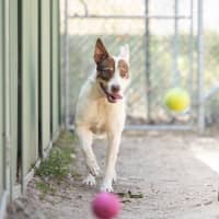 Photo of Bella
