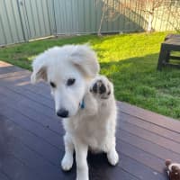 Photo of Mabel