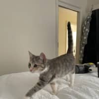 Photo of Rosebud Meet Me At Chelsea Petstock Store! 