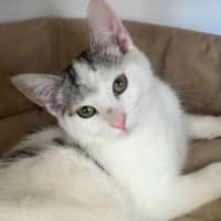 Photo of Sonny