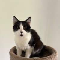Photo of Otis 