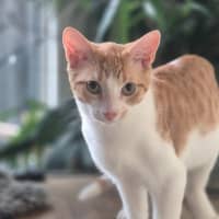 Photo of Jack