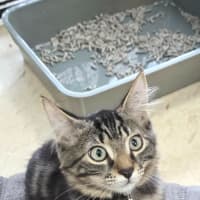 Photo of Timmy