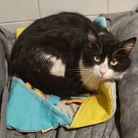 Photo of Dudley Kumara