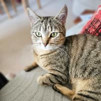 Photo of Miss Smooch