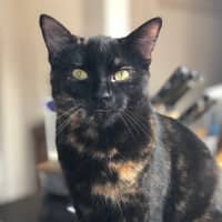 Photo of Stanley & Rosie