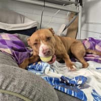 Photo of Skylar! 🌈