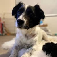 Photo of Sam Jablonski