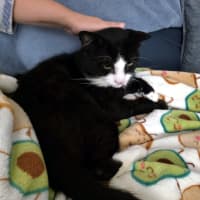 Photo of Alfonze Sta015011